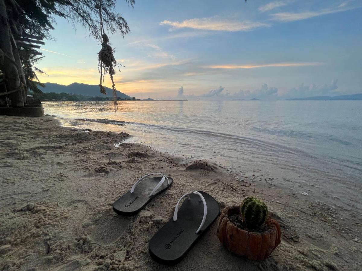 ホテル Phangan Dream Box バーン・タイ エクステリア 写真