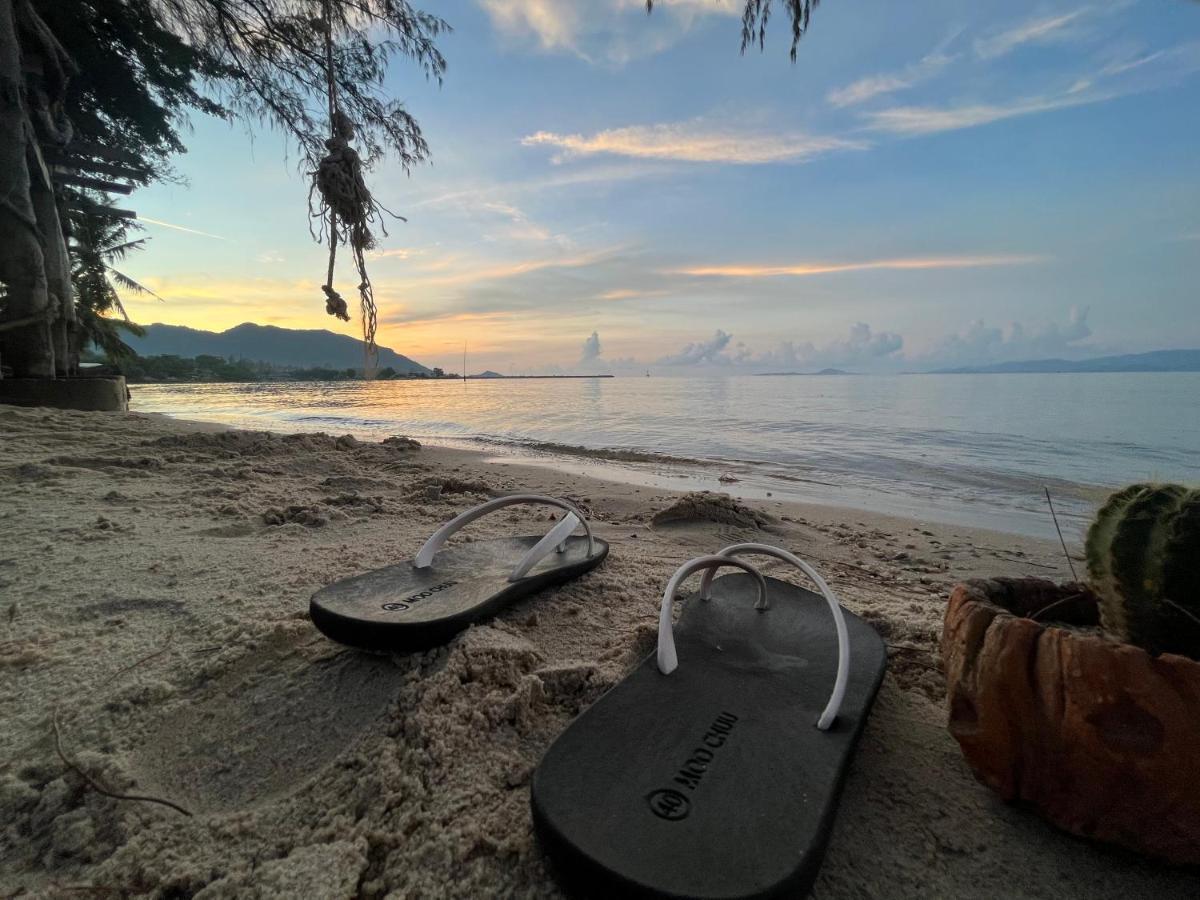 ホテル Phangan Dream Box バーン・タイ エクステリア 写真