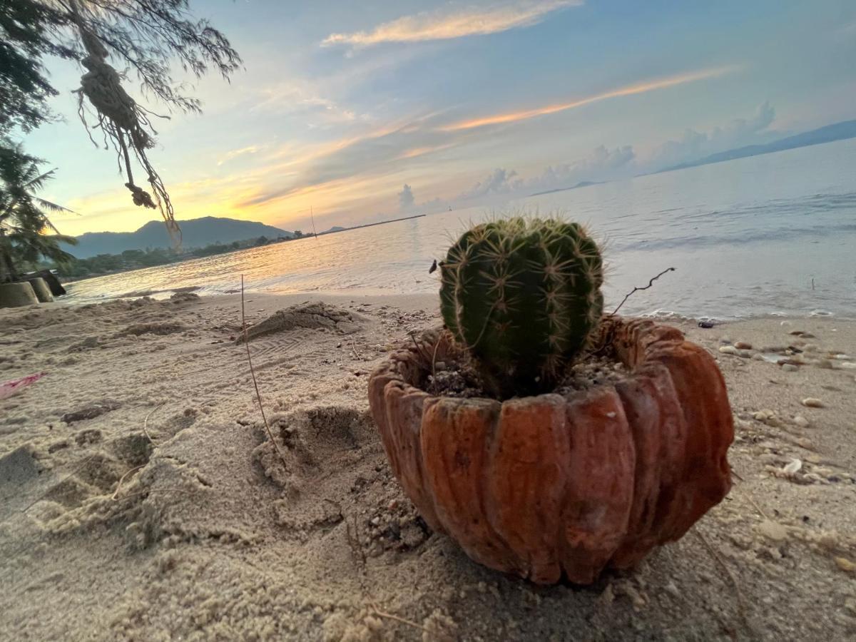 ホテル Phangan Dream Box バーン・タイ エクステリア 写真
