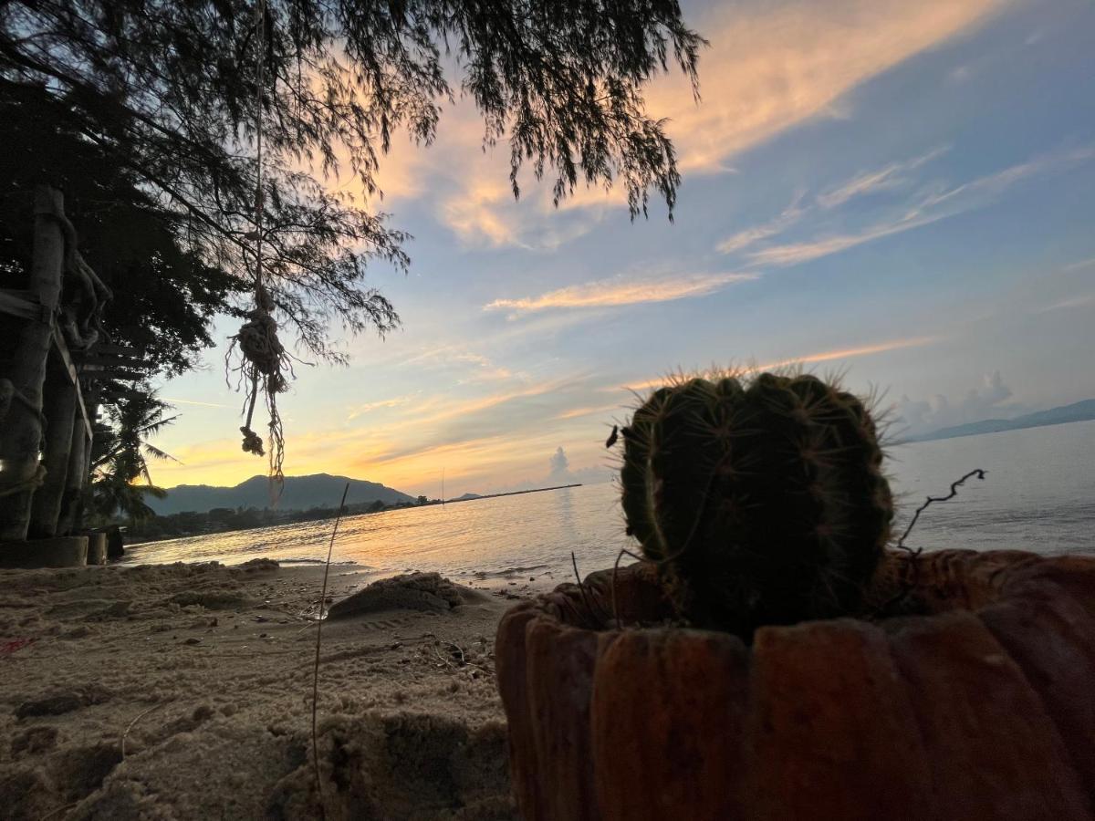 ホテル Phangan Dream Box バーン・タイ エクステリア 写真