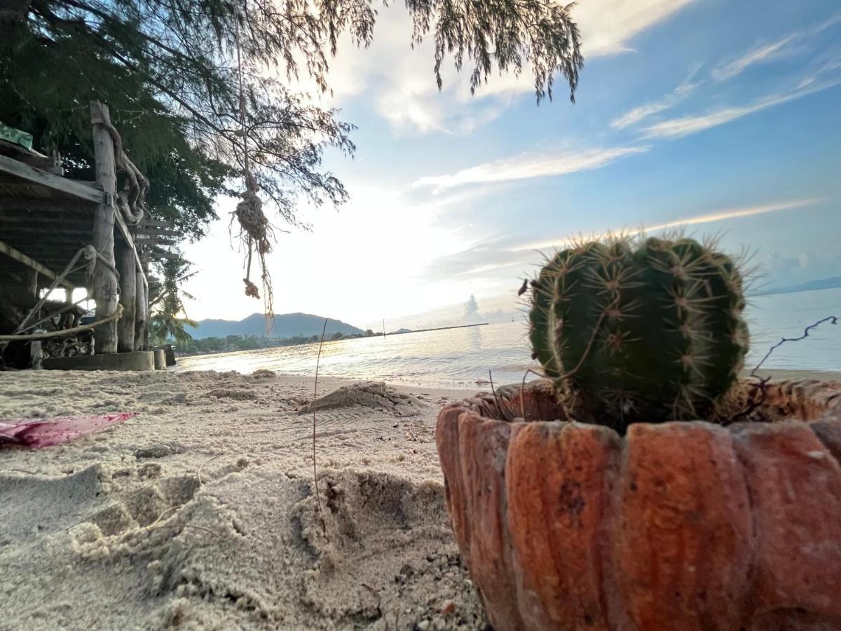 ホテル Phangan Dream Box バーン・タイ エクステリア 写真