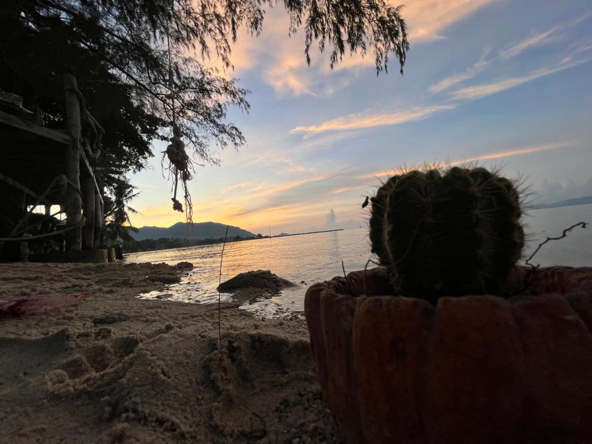 ホテル Phangan Dream Box バーン・タイ エクステリア 写真